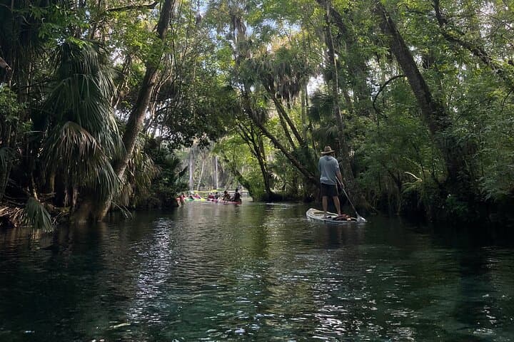 Clear Kayak Tours on the Silver River — Guided Wildlife & Film-Location Paddles photo 1