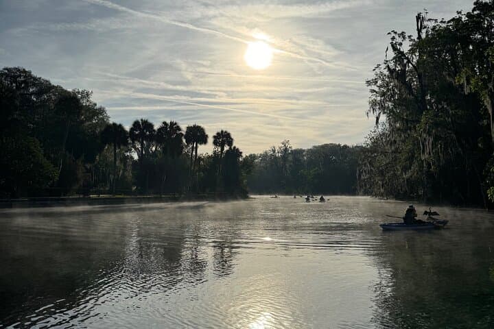 Clear Kayak Tours on the Silver River — Guided Wildlife & Film-Location Paddles photo 4