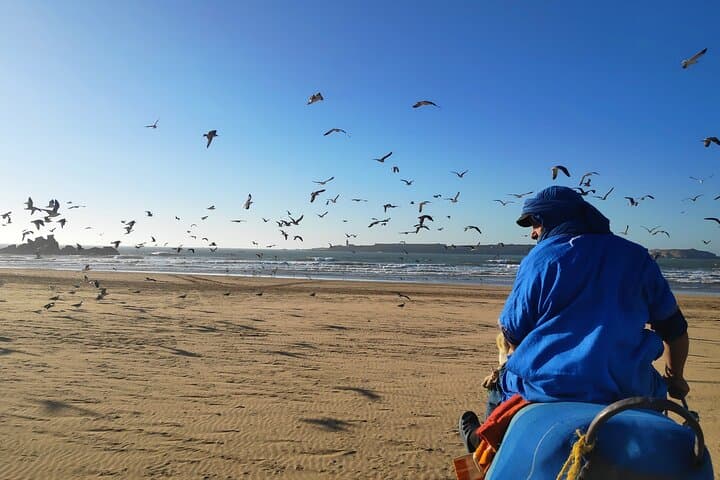 Essaouira Dromedary Ride: 2-Hour Camel Trek from Diabat photo 3