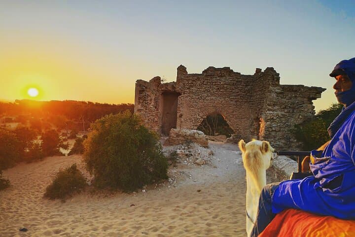 Essaouira Dromedary Ride: 2-Hour Camel Trek from Diabat photo 4