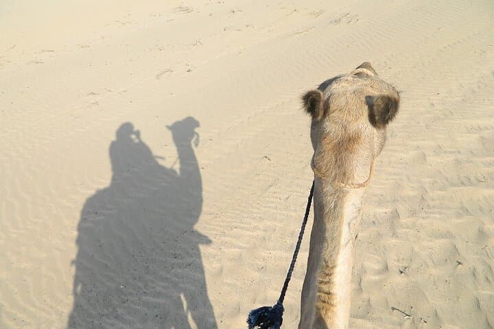 Essaouira Dromedary Ride: 2-Hour Camel Trek from Diabat photo 6