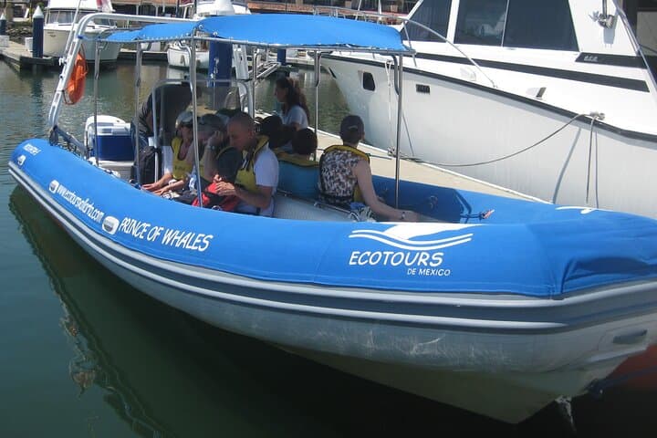Snorkel the Marietas Islands & Visit the Hidden Beach — Small-Group Ecotour from Puerto Vallarta photo 3