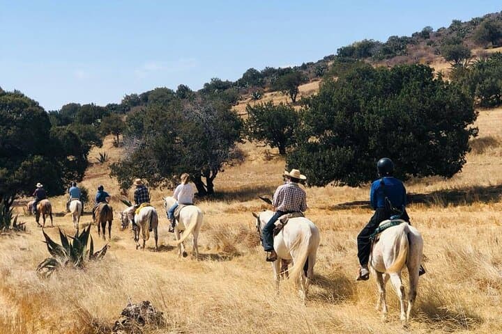Full-Day Horseback Riding Through Haciendas of Hidalgo