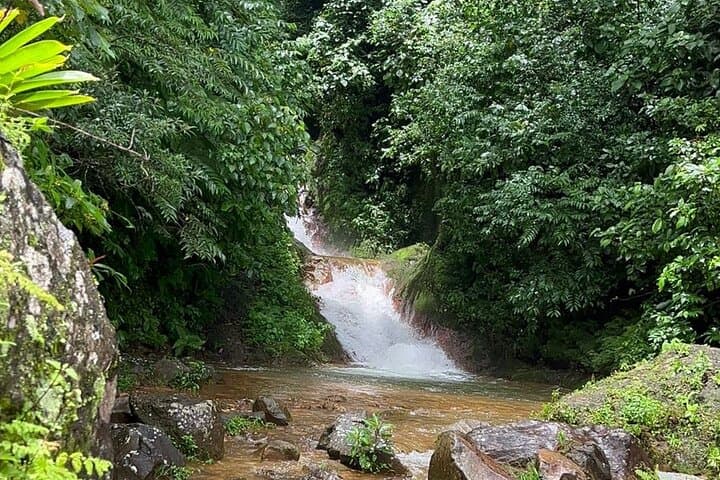 Miravalles Rainforest & Waterfall Day Trip — Hanging Bridges, Hot Springs, Llanos de Cortés photo 4