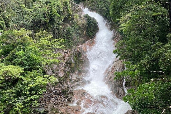 Miravalles Rainforest & Waterfall Day Trip — Hanging Bridges, Hot Springs, Llanos de Cortés