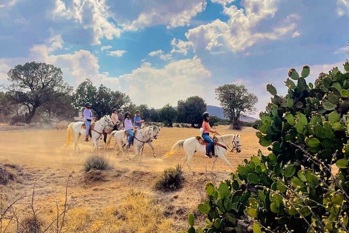 Full-Day Horseback Riding Through Haciendas of Hidalgo photo 6