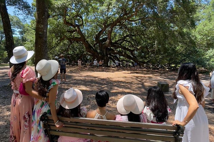 Wadmalaw Day Trip: Angel Oak, Charleston Tea Garden & Deep Water Vineyard photo 3
