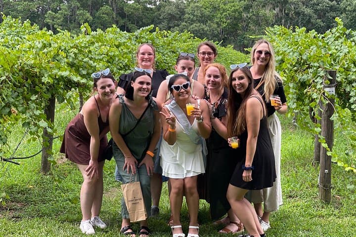 Wadmalaw Day Trip: Angel Oak, Charleston Tea Garden & Deep Water Vineyard photo 2