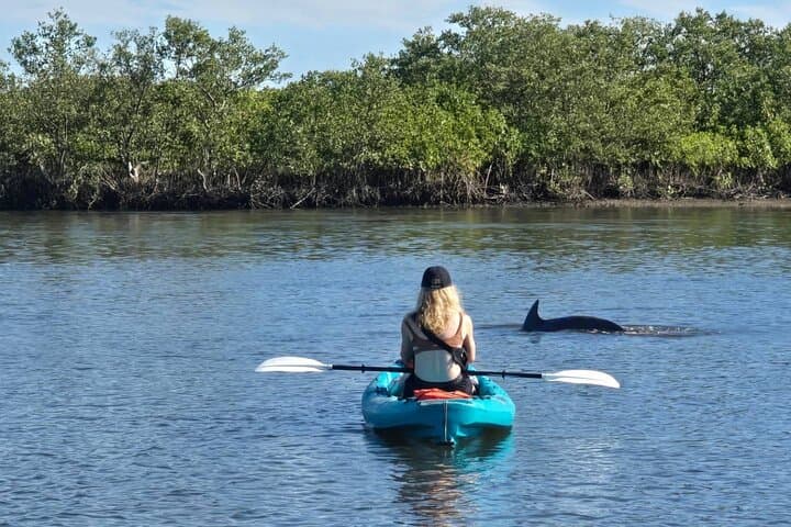 Sarasota Dolphin & Manatee Kayak Tour with Olde Florida History photo 5