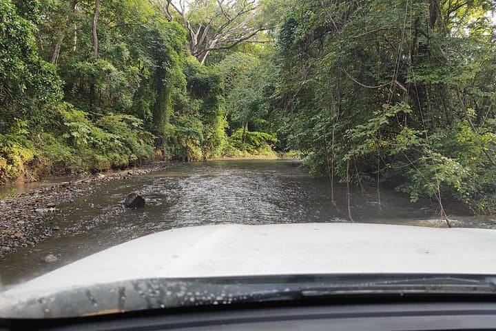 Private Dry Forest Hike in Guanacaste — Waterfalls & Wildlife