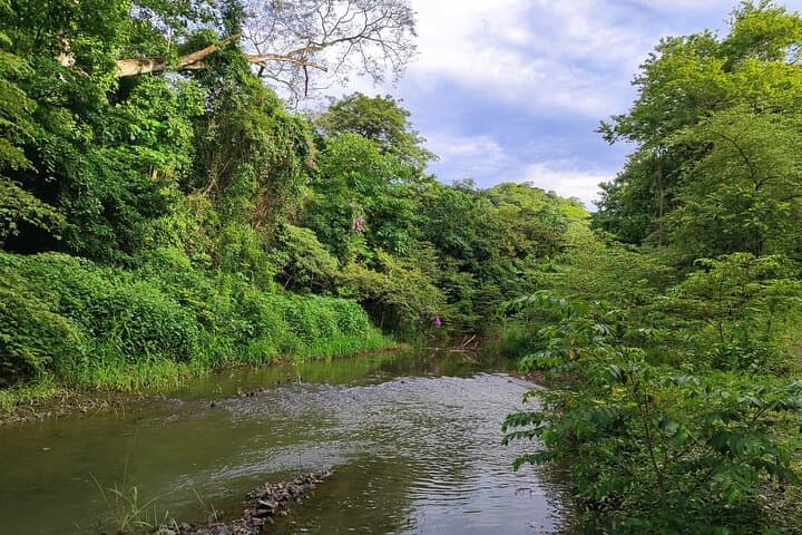 Private Dry Forest Hike in Guanacaste — Waterfalls & Wildlife photo 2