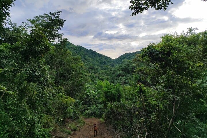 Private Dry Forest Hike in Guanacaste — Waterfalls & Wildlife photo 5