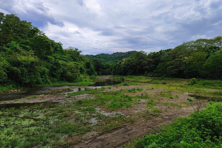 Private Dry Forest Hike in Guanacaste — Waterfalls & Wildlife photo 6