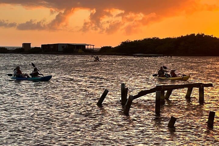 Sunset Kayak & Snorkel: Mangel Halto to Spanish Lagoon, Aruba photo 4