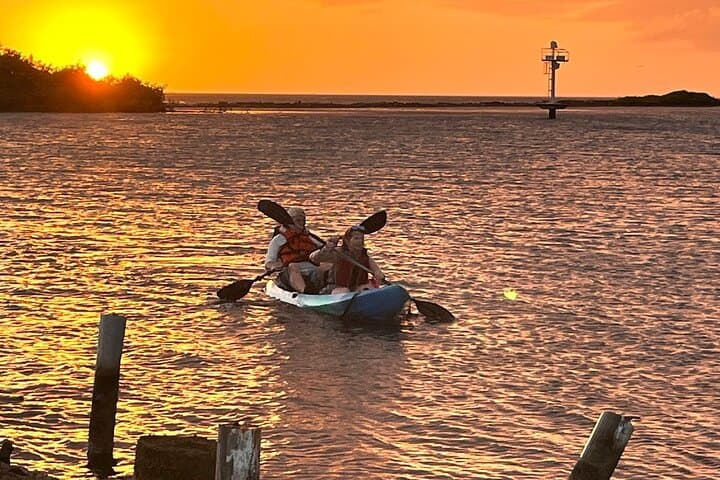 Sunset Kayak & Snorkel: Mangel Halto to Spanish Lagoon, Aruba photo 6