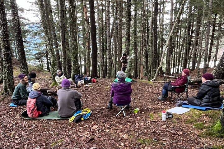 Forest Therapy in Haines, Alaska: 3-Hour Guided Shinrin-Yoku Experience photo 3