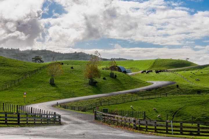 Private Hobbiton Movie Set Tour from Tauranga — Day-Trip Guide photo 6