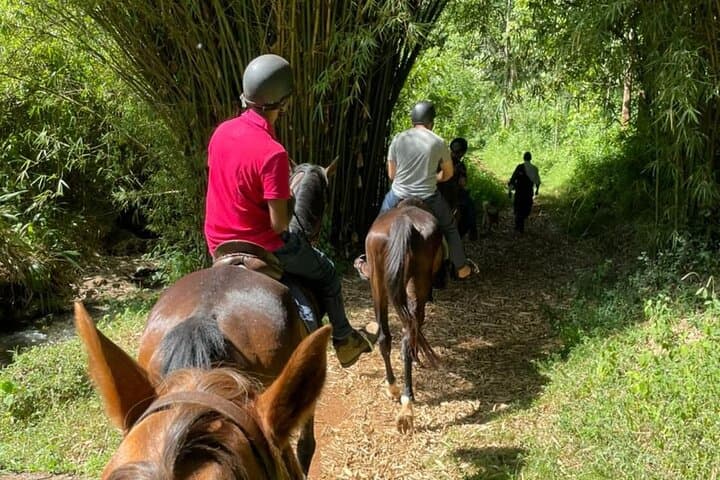 Horseback Ride at Kitusuru Dam: Scenic Outskirts Trail Near Nairobi photo 2