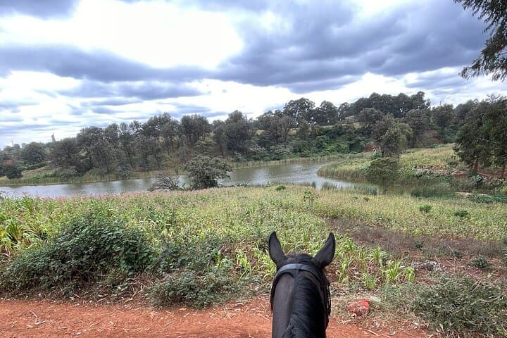 Horseback Ride at Kitusuru Dam: Scenic Outskirts Trail Near Nairobi photo 3