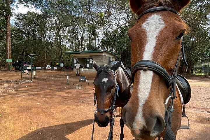 Horseback Ride at Kitusuru Dam: Scenic Outskirts Trail Near Nairobi photo 4