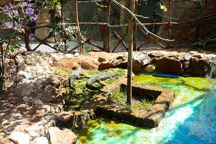 Hurghada Grand Aquarium: Skip-the-Line Entry & Guided Tour photo 2