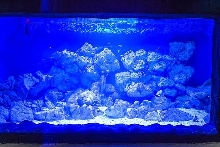 Hurghada Grand Aquarium: Skip-the-Line Entry & Guided Tour photo 5