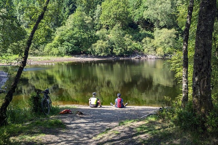 Loch Katrine Steamship Cruise, Sheepdog Demo & Foraging Walk in the Trossachs photo 4