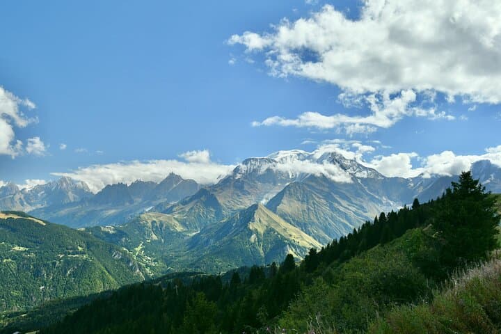 Alpine Wildlife Observation Day in Megève: Guided Animal Tracking at Mont Joly photo 4