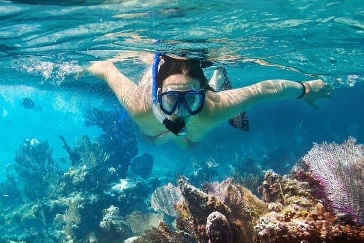 Vinh Hy Bay Snorkel, Waterfall & Cham Village Day Trip from Mui Ne photo 2