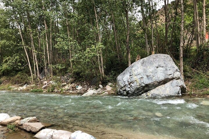Ourika Valley and Setti Fatma Waterfalls Day Trip from Marrakech photo 5