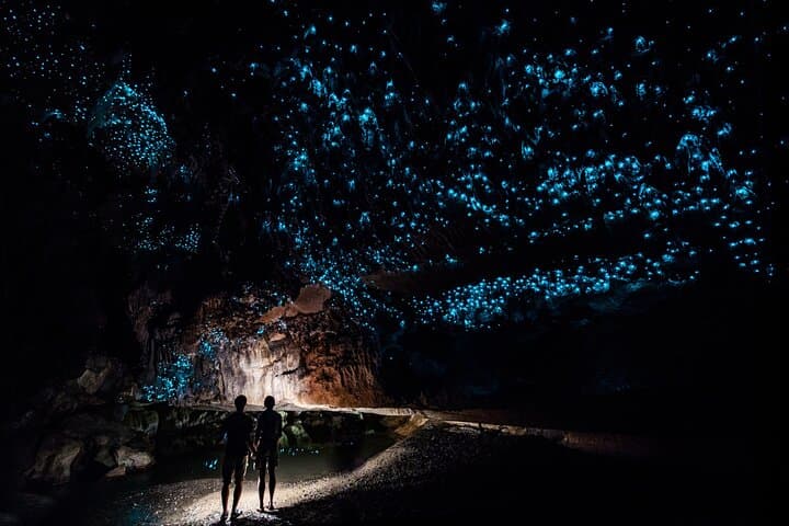 Private Waitomo Glowworm Caves Day Trip from Auckland