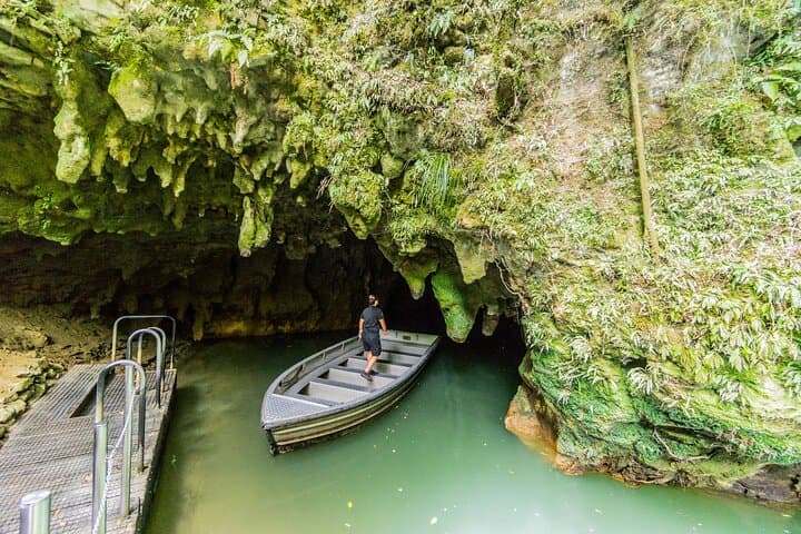 Private Waitomo Glowworm Caves Day Trip from Auckland photo 2