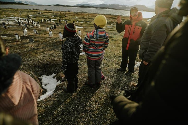 Walk with Penguins on Martillo Island — Wildlife Walk from Ushuaia photo 3