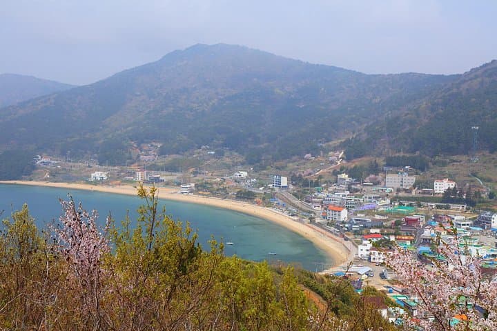 Busan to Geoje Seascapes & Windy Hills: Windmills, Pebble Beaches & POW History photo 3