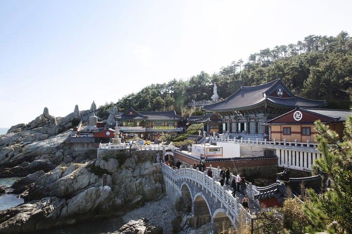 Explore Busan: A Private Taxi Tour for Cruise Passengers photo 5