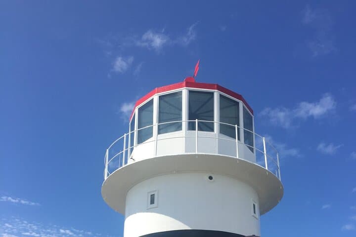 Cape Agulhas Southern Tip Discovery: Day Trip from Hermanus photo 3