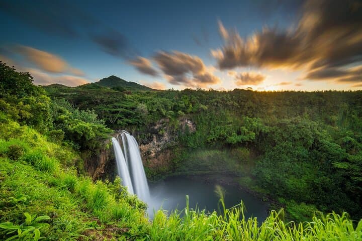 Private 8-Hour Jungle Waterfall Tour from Maui — Swim, Cliff Jump & Explore photo 2
