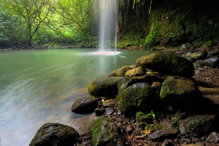 Private 8-Hour Jungle Waterfall Tour from Maui — Swim, Cliff Jump & Explore photo 5