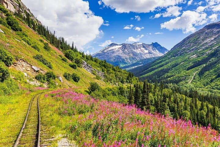 Exploring Skagway City & Summit: A Private Alaskan Adventure photo 5