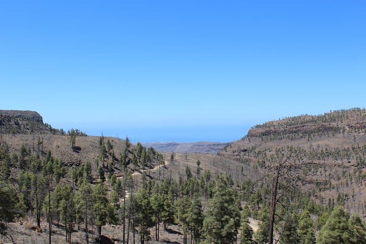 jeep-adventure-driving-tour-gran-canaria-roque-nublo-and-chira-dam photo 4