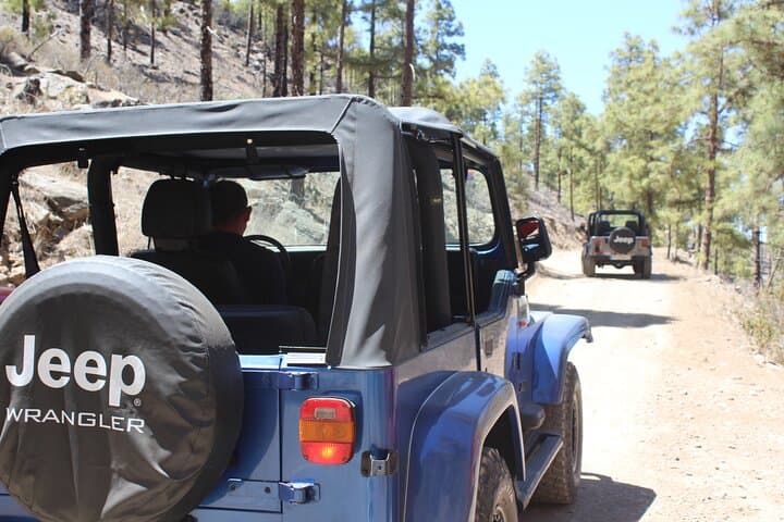 jeep-adventure-driving-tour-gran-canaria-roque-nublo-and-chira-dam photo 5