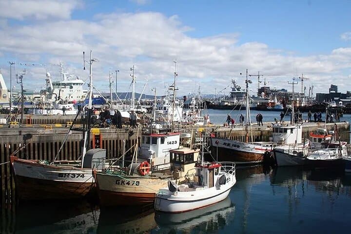 7-Day Gracious Southwest Iceland Tour: Golden Circle, South Coast & Blue Lagoon photo 3