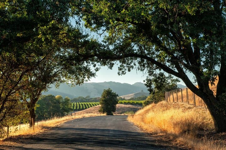Private Napa and Sonoma Valley Wine Tour — Full-Day Private Tasting Excursion photo 2