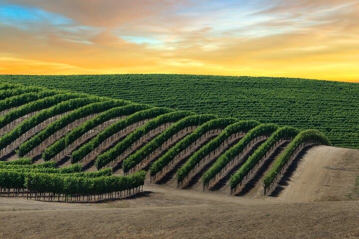 Private Napa and Sonoma Valley Wine Tour — Full-Day Private Tasting Excursion photo 5