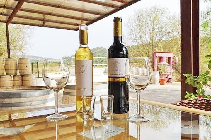 Arrábida, Palmela & Azeitão Private Tour — Wine Tasting, Coastal Views & Historic Castles photo 3