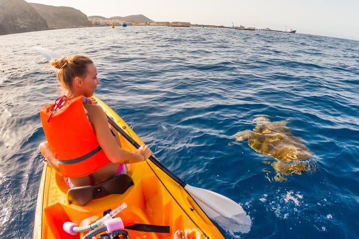 Paddle and Dive: Kayaking and Snorkeling Adventure in Tenerife photo 3