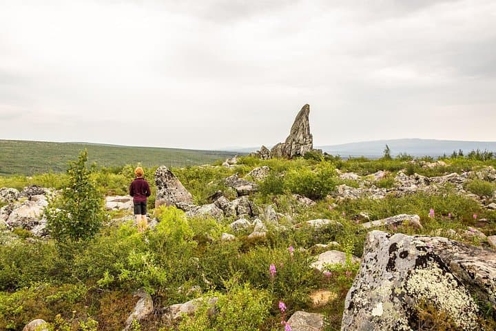 Private Arctic Circle Day Tour from Fairbanks — Dalton Highway, Finger Mountain & Yukon River Bridge photo 1