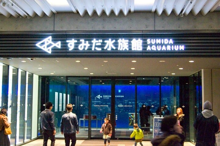 Inside Tokyo Sumida Aquarium: Penguins, Japan’s Largest Indoor Open Tank & Practical Tips photo 6