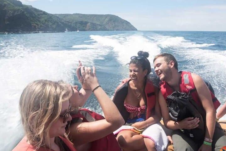 Snorkel with Turtles and Watch Humpbacks in Machalilla National Park photo 3