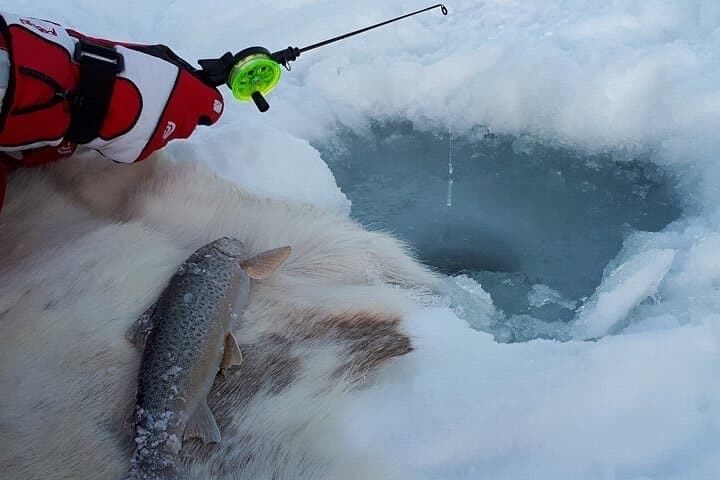 Sjursnes Arctic Ice Fishing Adventure from Tromso photo 3